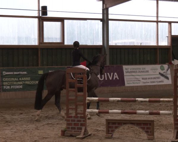 Reitturnier Velen 2024