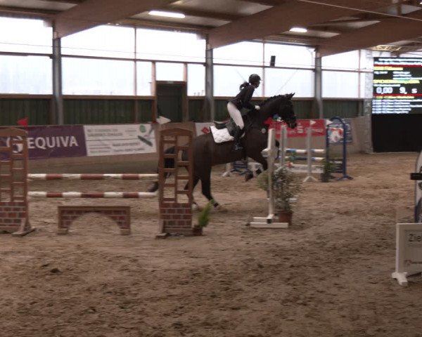 Reitturnier Velen 2024