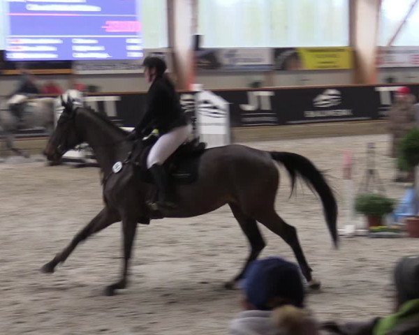 Reitturnier Goch-Asperden 2024