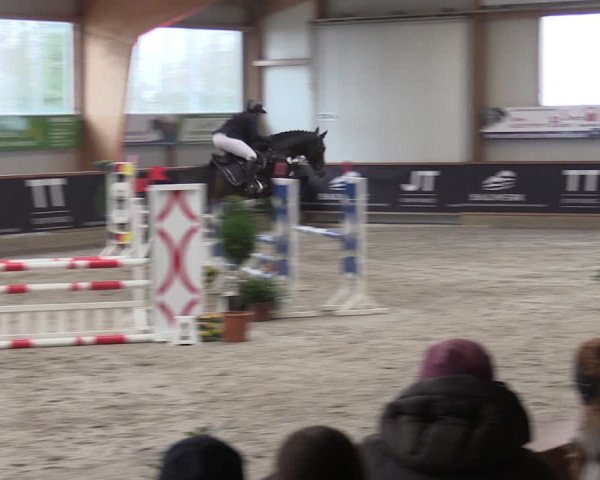 Reitturnier Goch-Asperden 2024