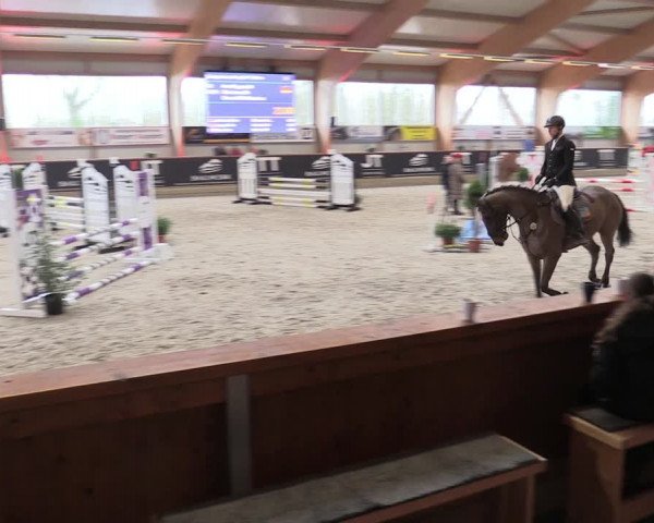 Reitturnier Goch-Asperden 2024