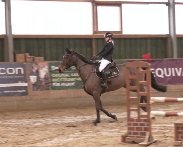 Reitturnier Velen 2024