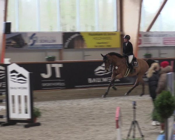 Reitturnier Goch-Asperden 2024