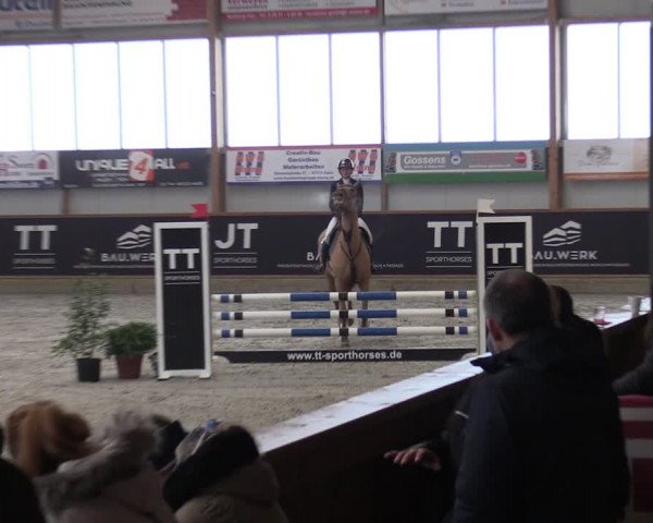 Reitturnier Goch-Asperden 2024