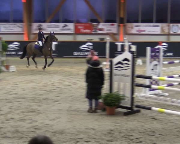 Reitturnier Goch-Asperden 2024