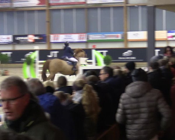 Reitturnier Goch-Asperden 2024