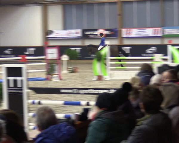 Reitturnier Goch-Asperden 2024