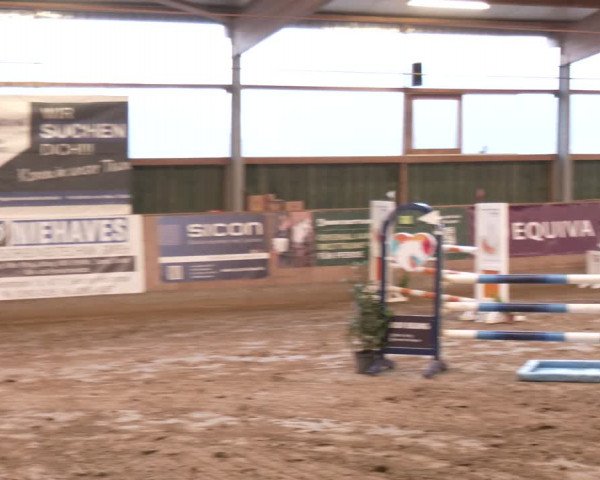 Reitturnier Velen 2024