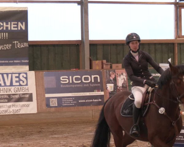 Reitturnier Velen 2024