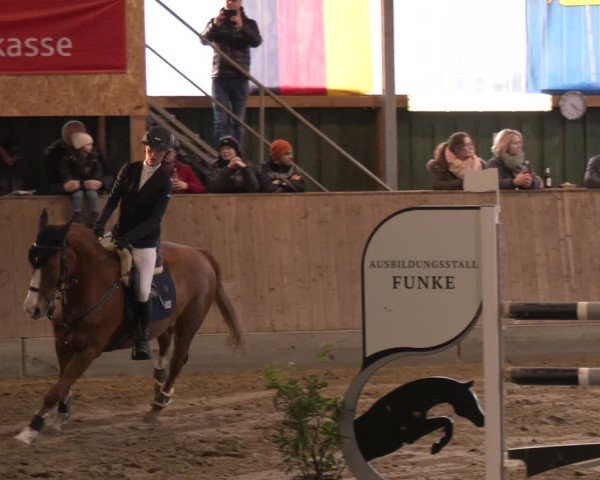 Reitturnier Velen 2024