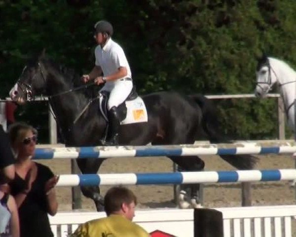 Dorsten 2011