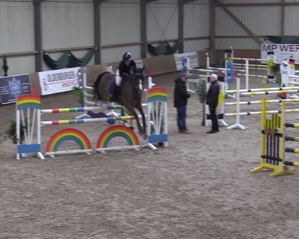 Reitturnier Hesel 2024
