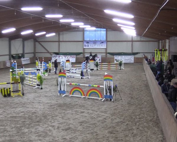 Reitturnier Hesel 2024