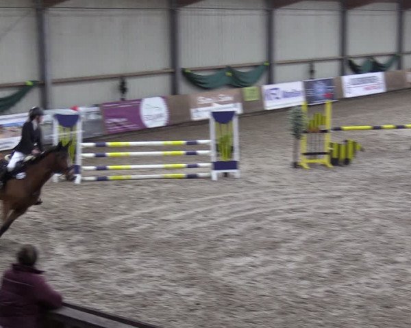 Reitturnier Hesel 2024
