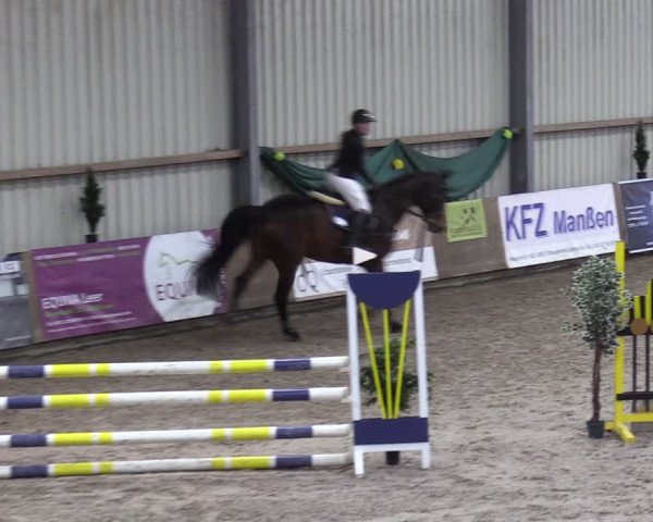 Reitturnier Hesel 2024