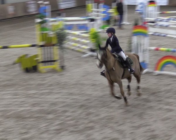 Reitturnier Hesel 2024