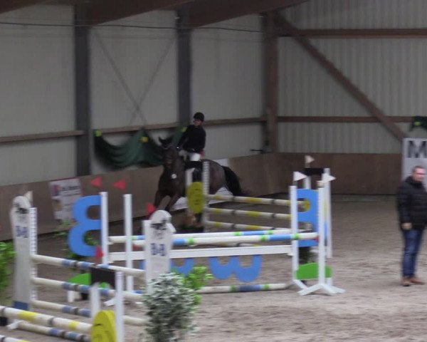 Reitturnier Hesel 2024