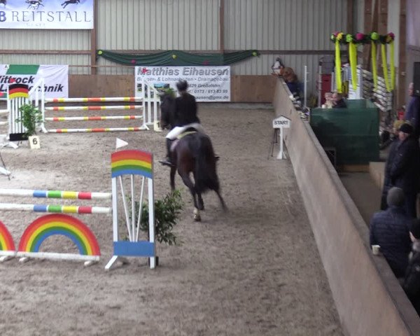 Reitturnier Hesel 2024