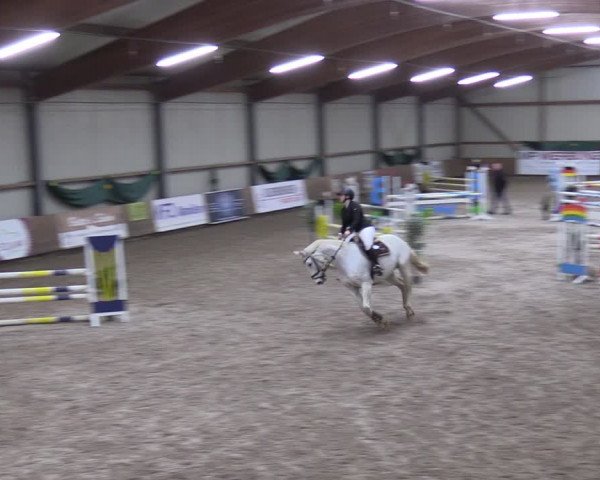 Reitturnier Hesel 2024