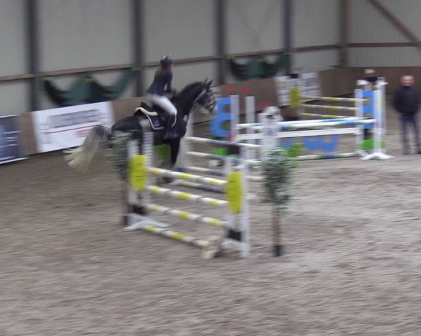 Reitturnier Hesel 2024