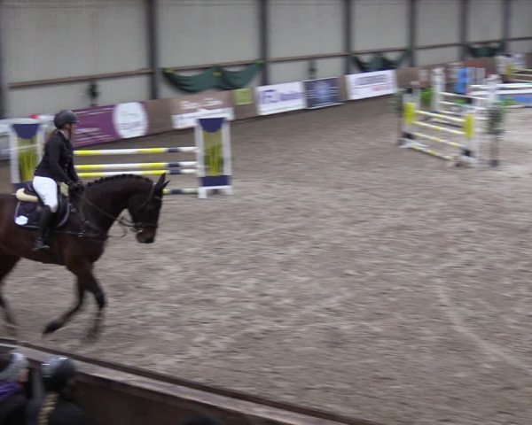 Reitturnier Hesel 2024