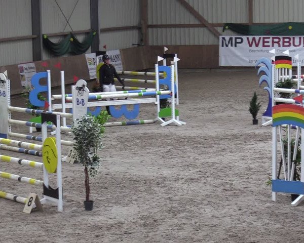 Reitturnier Hesel 2024
