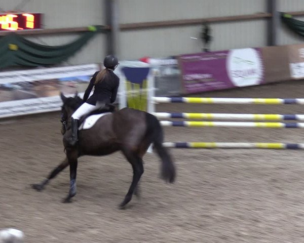 Reitturnier Hesel 2024