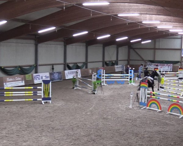 Reitturnier Hesel 2024