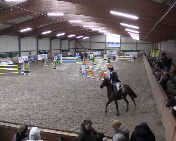 Reitturnier Hesel 2024