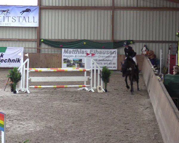 Reitturnier Hesel 2024