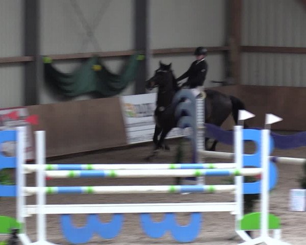 Reitturnier Hesel 2024
