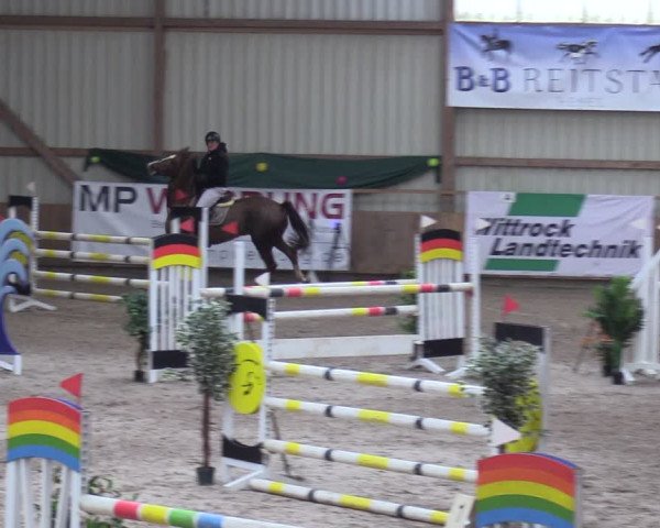 Reitturnier Hesel 2024
