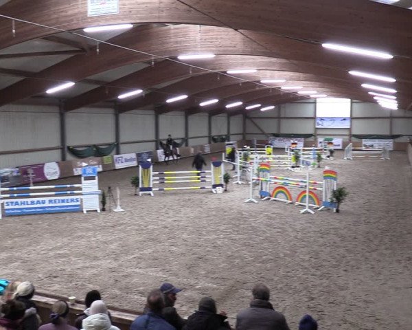 Reitturnier Hesel 2024