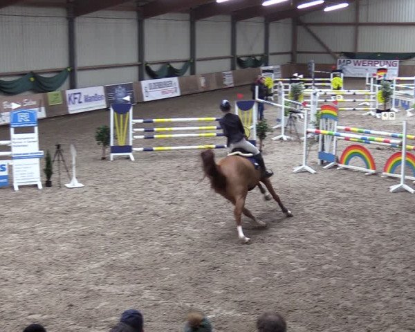 Reitturnier Hesel 2024