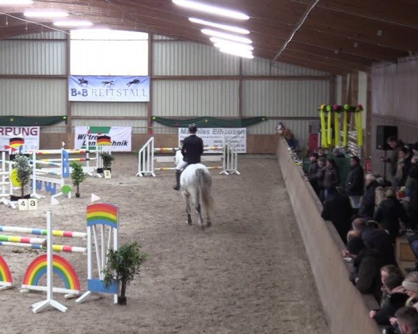 Reitturnier Hesel 2024