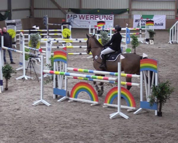 Reitturnier Hesel 2024