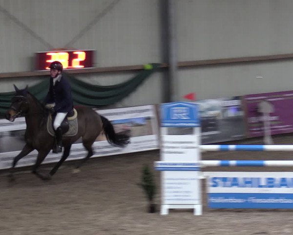 Reitturnier Hesel 2024