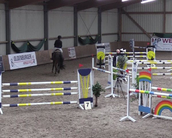 Reitturnier Hesel 2024