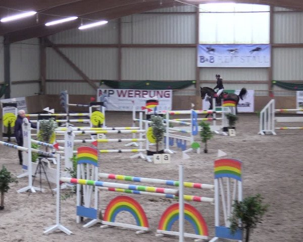 Reitturnier Hesel 2024