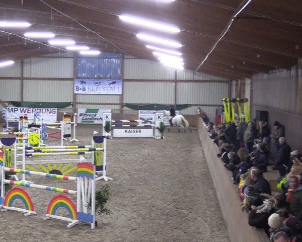 Reitturnier Hesel 2024