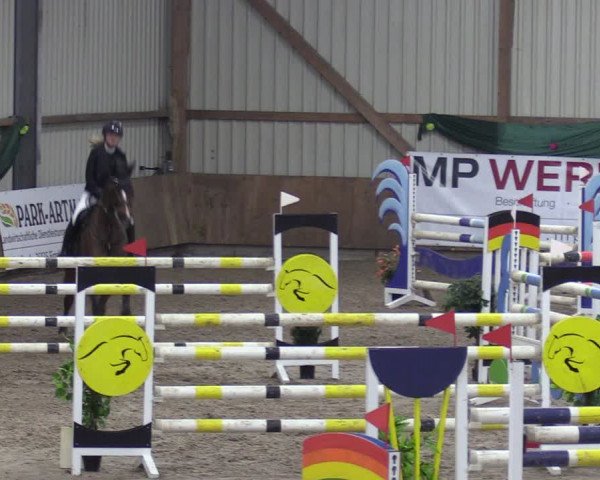 Reitturnier Hesel 2024