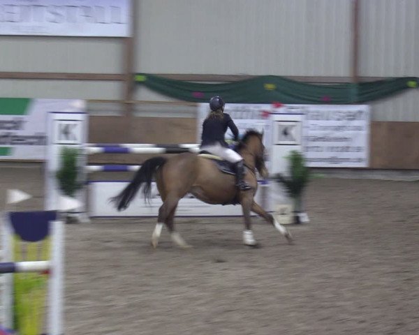 Reitturnier Hesel 2024