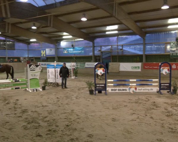 Reitturnier Velen 2024