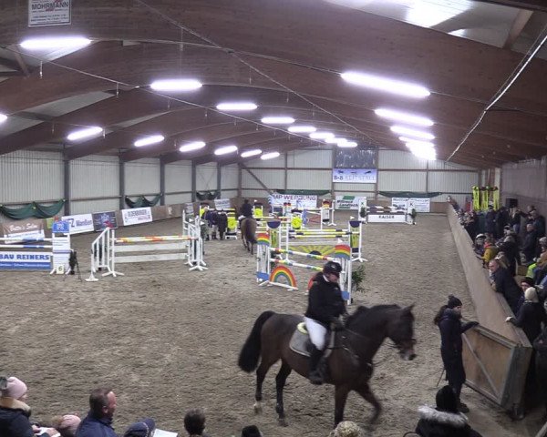 Reitturnier Hesel 2024