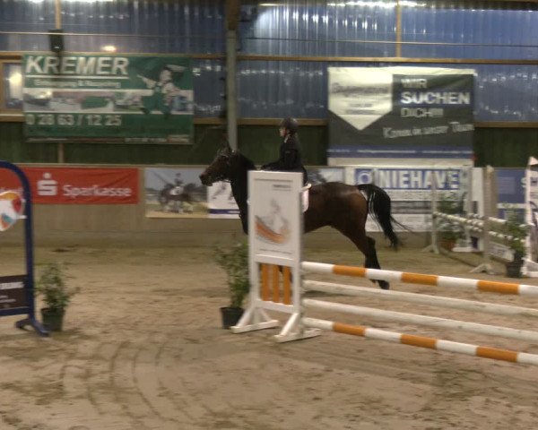 Reitturnier Velen 2024