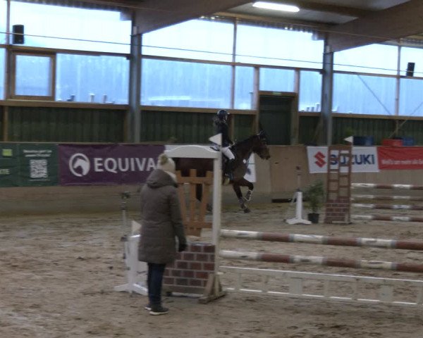 Reitturnier Velen 2024