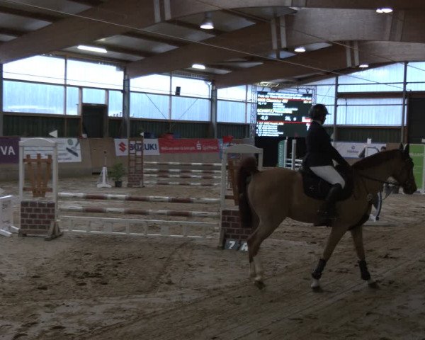 Reitturnier Velen 2024