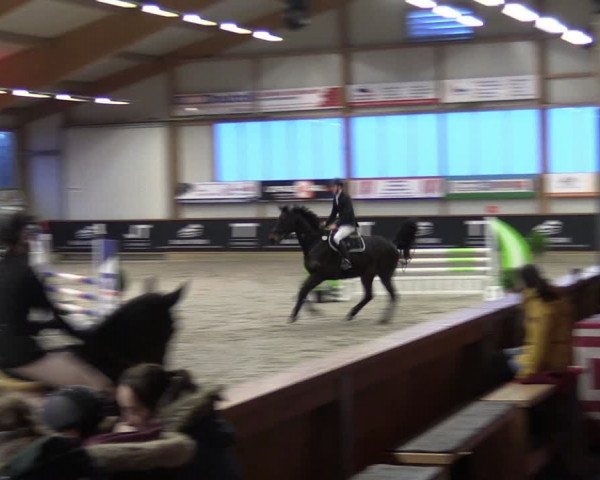 Reitturnier Goch-Asperden 2024