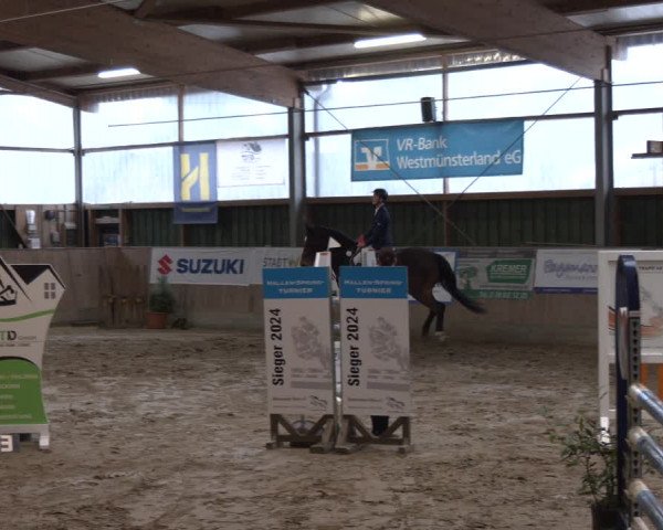 Reitturnier Velen 2024