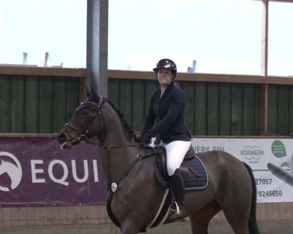Reitturnier Velen 2024